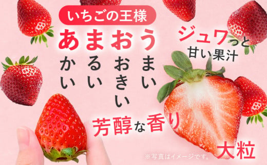 【2027年発送先行予約】あまおうデラックス（約250‐270g x4パック） お取り寄せグルメ お取り寄せ 福岡 お土産 九州 福岡土産 取り寄せ グルメ 福岡県