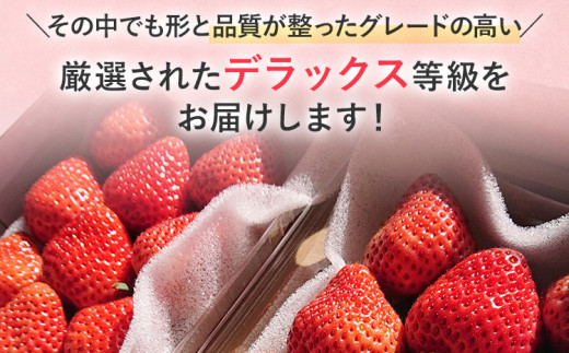 【2027年発送先行予約】あまおうデラックス（約250‐270g x4パック） お取り寄せグルメ お取り寄せ 福岡 お土産 九州 福岡土産 取り寄せ グルメ 福岡県