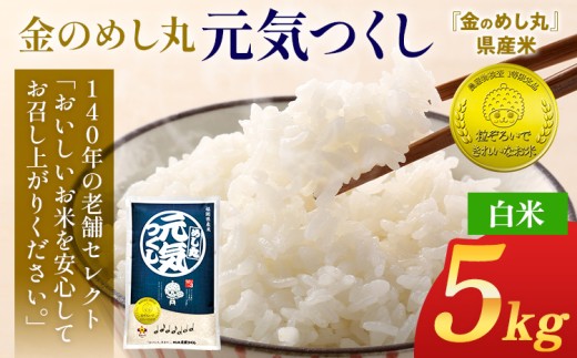 令和7年産 金のめし丸元気つくし精米５kg 元気つくし 福岡 お米 米 ごはん ご飯 お弁当 おにぎり 金のめし丸県産米 福岡ブランド米 めし丸 志免 志免町 福岡県