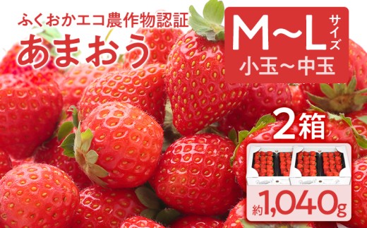 ふくおかエコ農作物認証あまおう M〜Lサイズ 2箱セット あまおう イチゴ 苺 いちご フルーツ 果物 くだもの 福岡県産 お取り寄せグルメ お取り寄せ 福岡 お土産 九州 福岡土産 取り寄せ グルメ 福岡県