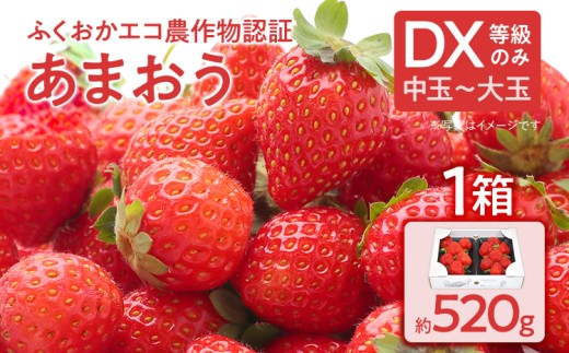 ふくおかエコ農作物認証あまおう DX等級のみ 1箱セット あまおう イチゴ 苺 いちご フルーツ 果物 くだもの 福岡県産 お取り寄せグルメ お取り寄せ 福岡 お土産 九州 福岡土産 取り寄せ グルメ 福岡県