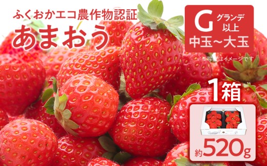 ふくおかエコ農作物認証あまおう G以上【選べる】 あまおう イチゴ 苺 いちご フルーツ 果物 くだもの 福岡県産 お取り寄せグルメ お取り寄せ 福岡 お土産 九州 福岡土産 取り寄せ グルメ 福岡県