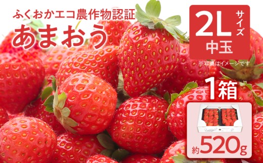 ふくおかエコ農作物認証あまおう 2Lサイズ 1箱セット あまおう イチゴ 苺 いちご フルーツ 果物 くだもの 福岡県産 お取り寄せグルメ お取り寄せ 福岡 お土産 九州 福岡土産 取り寄せ グルメ 福岡県
