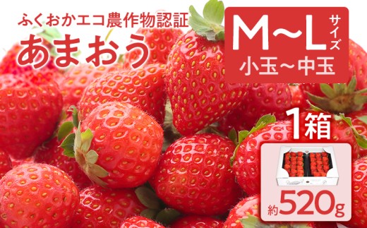 ふくおかエコ農作物認証あまおう M〜Lサイズ 1箱セット あまおう イチゴ 苺 いちご フルーツ 果物 くだもの 福岡県産 お取り寄せグルメ お取り寄せ 福岡 お土産 九州 福岡土産 取り寄せ グルメ 福岡県
