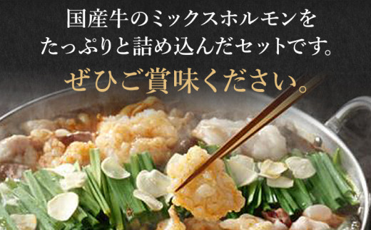 国産牛もつ鍋(醤油味) 工場直販 たっぷり8〜10人前  お取り寄せグルメ お取り寄せ 福岡 お土産 九州  福岡土産 取り寄せ グルメ  福岡県