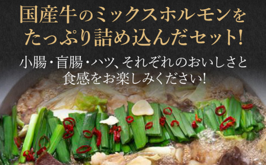 国産牛もつ鍋(醤油味) 工場直販 たっぷり8〜10人前  お取り寄せグルメ お取り寄せ 福岡 お土産 九州  福岡土産 取り寄せ グルメ  福岡県