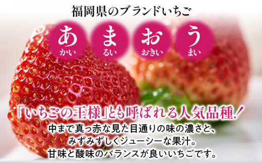 あまおう 1パック ＆ ふくや味の明太子 200g 明太子 惣菜 あまおう イチゴ いちご スイーツ 果物 フルーツ 送料無料【12月上旬発送開始予定】