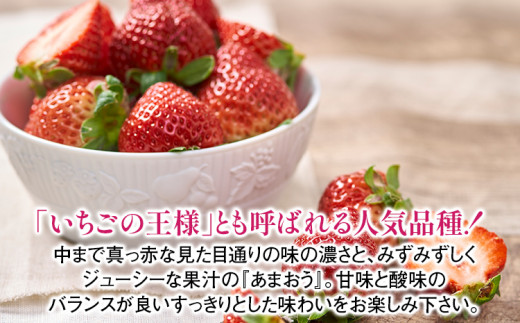 遖丞イ。逕」 縺ゅ∪縺翫≧ 邏600g (24ス30邊) 1邂ア 縺縺。縺 闍コ 譫懃黄 繝輔Ν繝シ繝 荵晏キ樒肇 遖丞イ。逵檎肇 蜀キ阡オ 繧ョ繝輔ヨ邂ア 邂ア蜈・繧 繧ョ繝輔ヨ 雍医j迚ゥ 騾∵侭辟。譁吶12譛井ク頑流逋コ騾髢句ァ倶コ亥ョ壹
