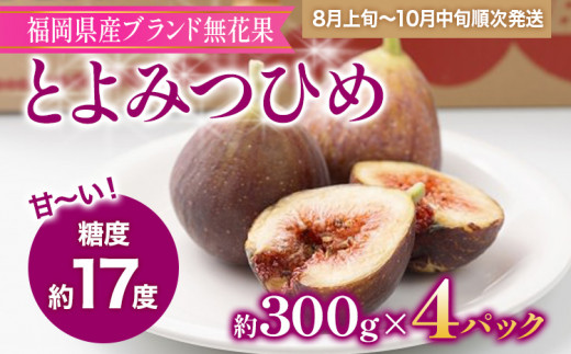 福岡県産ブランド無花果「とよみつひめ」(約300g×4パック)
