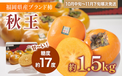 福岡県産ブランド柿「秋王」 秋王・柿　約1.5kg(4-6玉)