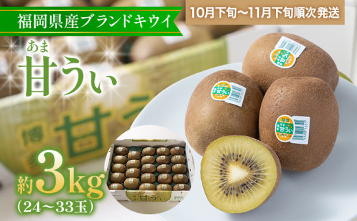福岡県産ブランドキウイ「甘うぃ」 約3kg(24-33玉)