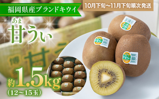 福岡県産ブランドキウイ「甘うぃ」 約1.5kg(12-15玉)