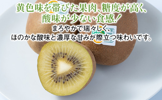 福岡県産ブランドキウイ「甘うぃ」 約1.5kg(12-15玉)