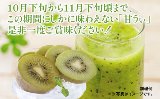 福岡県産ブランドキウイ「甘うぃ」 約1.5kg(12-15玉)