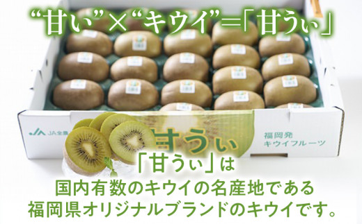 福岡県産ブランドキウイ「甘うぃ」 約1.5kg(12-15玉)
