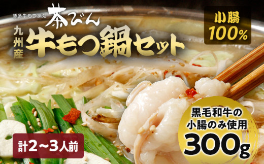 もつ鍋セット 2〜3人前 醤油味 ホルモン小腸 もつ 小腸 300g 九州産 国産 ホルモン スープ ちゃんぽん ごま 鷹の爪 ごま油 セット 黒毛和牛 冷凍 取り寄せ 送料無料 牛もつ鍋処 茶びん