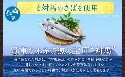  博多珍味 4品 3種類 4パック 魚介類 惣菜 加工品 おかず おつまみ 冷凍 詰め合わせ 簡単調理 魚 ごまさば カンパチ漬け 鯛茶漬け 送料無料