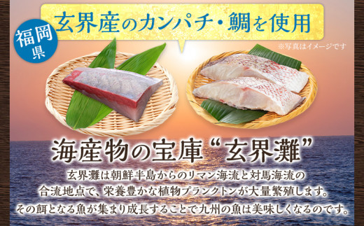  博多珍味 4品 3種類 4パック 魚介類 惣菜 加工品 おかず おつまみ 冷凍 詰め合わせ 簡単調理 魚 ごまさば カンパチ漬け 鯛茶漬け 送料無料