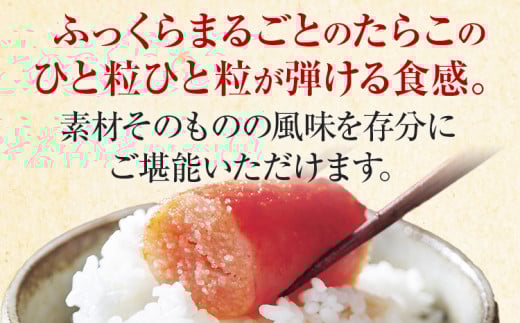 縺オ縺上d 蜻ウ縺ョ譏主、ェ蟄 繝ャ繧ョ繝・繝ゥ繝シ (霎帛哨) 540g 霎帛ュ先主、ェ蟄 縺溘i縺