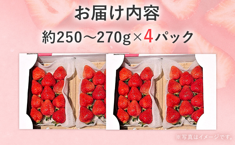 【2027年発送先行予約】あまおうデラックス（約250‐270g x4パック） お取り寄せグルメ お取り寄せ 福岡 お土産 九州 福岡土産 取り寄せ グルメ 福岡県