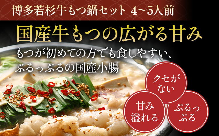 åå€è¥æ çãã€é(逿²¹å³) 4ã5人å + å倿°Žçã 4ã5人å èŽ
æ²¢ã»ãã é çã〠å°è
ž ã¡ãããœã ã³ã©ãŒã²ã³ ã¹ãŒã åœç£ é³¥ããè ã€ãã èè é«çŽ é£å é£ã¹ç© ã°ã«ã¡ åå€ ä¹å· éæç¡æ