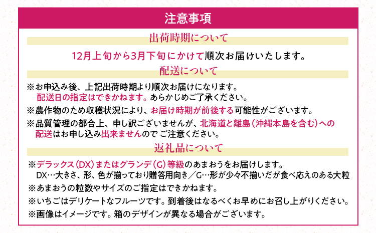 遖丞イ。逕」 縺ゅ∪縺翫≧ 邏600g (24ス30邊) 1邂ア 縺縺。縺 闍コ 譫懃黄 繝輔Ν繝シ繝 荵晏キ樒肇 遖丞イ。逵檎肇 蜀キ阡オ 繧ョ繝輔ヨ邂ア 邂ア蜈・繧 繧ョ繝輔ヨ 雍医j迚ゥ 騾∵侭辟。譁吶12譛井ク頑流逋コ騾髢句ァ倶コ亥ョ壹