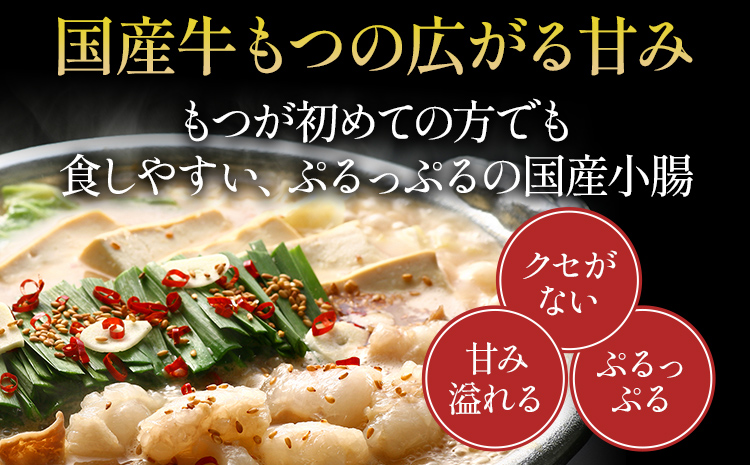 もつ鍋 博多若杉 国産 牛もつ鍋 4〜5人前 醤油味 鍋 牛もつ 小腸 100% 小分け ちゃんぽん スープ 老舗 高級 食品 食べ物 グルメ 博多 九州 送料無料