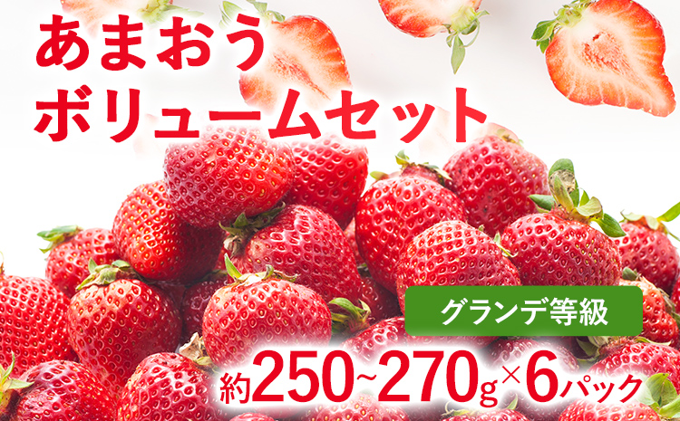 【2027年発送先行予約】あまおうボリュームセット(約250‐270g x G6パック) お取り寄せグルメ お取り寄せ 福岡 お土産 九州 福岡土産 取り寄せ グルメ 福岡県