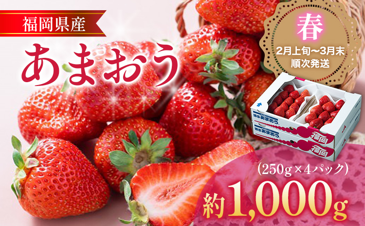 福岡産【春】あまおう 4パック 合計1000g（1パックあたり250g） いちご 苺 果物 フルーツ 九州産 福岡県産 冷蔵 送料無料 【2月上旬発送開始予定】