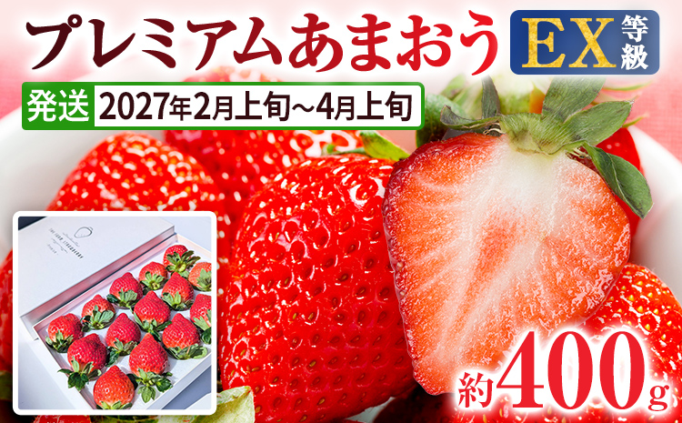 【2027年発送先行予約】プレミアム あまおう EX（化粧箱入り）いちご フルーツ 果物 あまおう 約400g×1パック 苺 イチゴ ギフト 贈答用 贈り物 お祝い 祝い 化粧箱 福岡【発送時期2027年2月上旬〜2027年4月上旬】