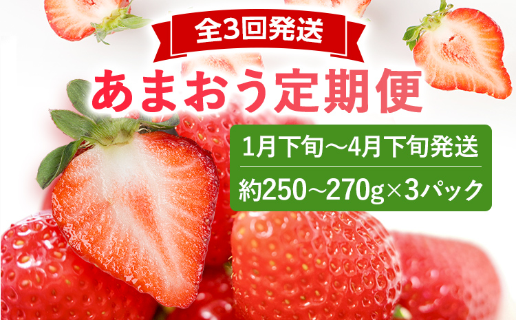 【2027年先行いちご定期便】あまおう3パックｘ3回(1月下旬〜、2月〜、3月〜発送) お取り寄せグルメ お取り寄せ 福岡 お土産 九州 福岡土産 取り寄せ グルメ 福岡県
