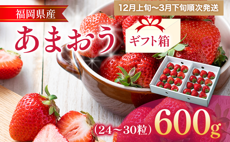 福岡産 あまおう 約600g (24～30粒) 1箱 いちご 苺 果物 フルーツ 九州産 福岡県産 冷蔵 ギフト箱 箱入り ギフト 贈り物 送料無料【12月上旬発送開始予定】