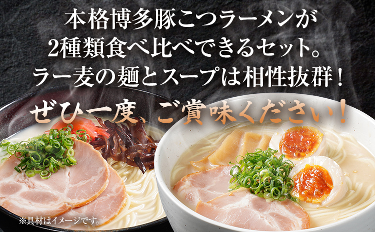 ã©ãŒã¡ã³ ãšããã€ã©ãŒã¡ã³ ãåœå° ãšãã〠åå€ è±ã〠ãã³ã³ã ã詊ã 2çš®Ã1é£ é£ã¹æ¯ã¹ 2é£ åå€ ãã©ãœã³ è²·ãåã ã©ãŒéºŠ ã¡ãŒã«äŸ¿ ãã¹ãæåœ ãåãå¯ãã°ã«ã¡ ãåãå¯ã çŠå²¡ ãåç£ ä¹å· ã°ã«ã¡ çŠå²¡ç åžžæž©ä¿åOK