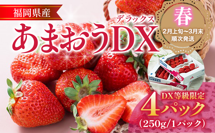 福岡産【春】あまおうDX（デラックス）4パック いちご 苺 果物 フルーツ 九州産 福岡県産 冷蔵 送料無料 【2月上旬発送開始予定】 イチゴ フルーツ 果物 くだもの ブランド 国産 甘味 果汁
