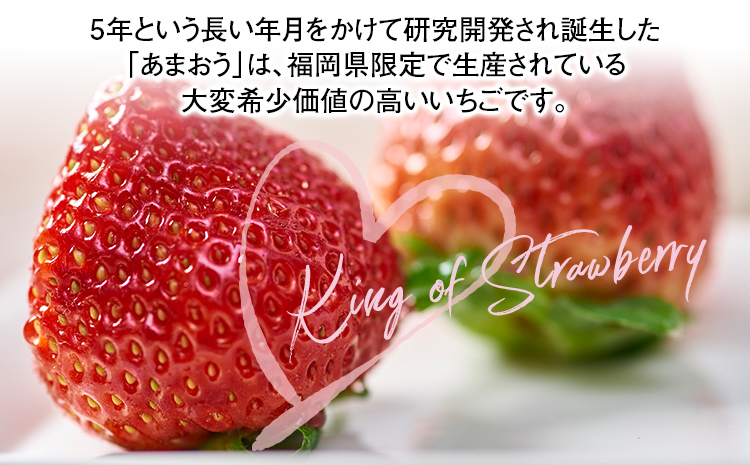 遖丞イ。逕」 縺ゅ∪縺翫≧ 邏600g (24ス30邊) 1邂ア 縺縺。縺 闍コ 譫懃黄 繝輔Ν繝シ繝 荵晏キ樒肇 遖丞イ。逵檎肇 蜀キ阡オ 繧ョ繝輔ヨ邂ア 邂ア蜈・繧 繧ョ繝輔ヨ 雍医j迚ゥ 騾∵侭辟。譁吶12譛井ク頑流逋コ騾髢句ァ倶コ亥ョ壹