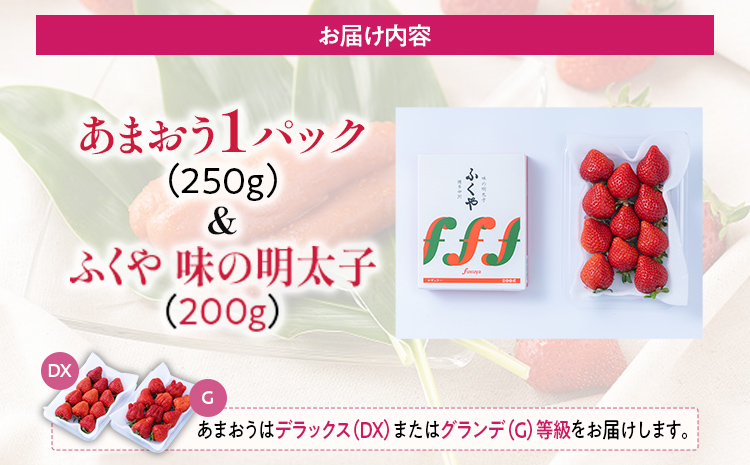 あまおう 1パック ＆ ふくや味の明太子 200g 明太子 惣菜 あまおう イチゴ いちご スイーツ 果物 フルーツ 送料無料【12月上旬発送開始予定】