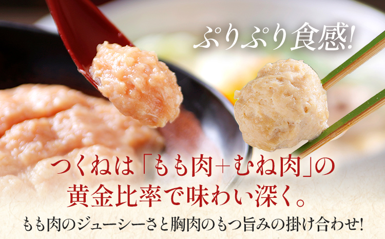 博多若杉 博多水炊き 4〜5人前 セット コラーゲン スープ 老舗 高級 国産 鳥もも肉 つくね スープ ポン酢 柚子胡椒 食品 食べ物 グルメ 博多 九州 送料無料