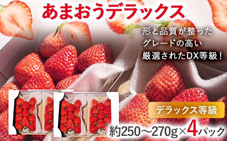 【2027年発送先行予約】あまおうデラックス（約250‐270g x4パック） お取り寄せグルメ お取り寄せ 福岡 お土産 九州 福岡土産 取り寄せ グルメ 福岡県