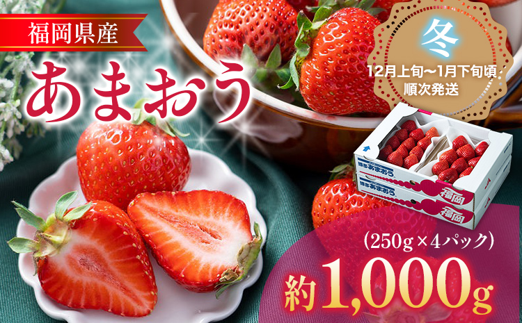 福岡産【冬】あまおう 4パック 合計1000g （1パックあたり250g） いちご 苺 果物 フルーツ 九州産 福岡県産 冷蔵 送料無料【12月上旬発送開始予定】