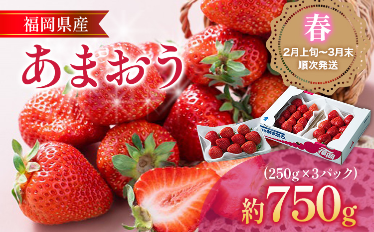 福岡産【春】あまおう 3パック 合計750g （1パックあたり250g） いちご 苺 果物 フルーツ 九州産 福岡県産 冷蔵 送料無料 【2月上旬発送開始予定】