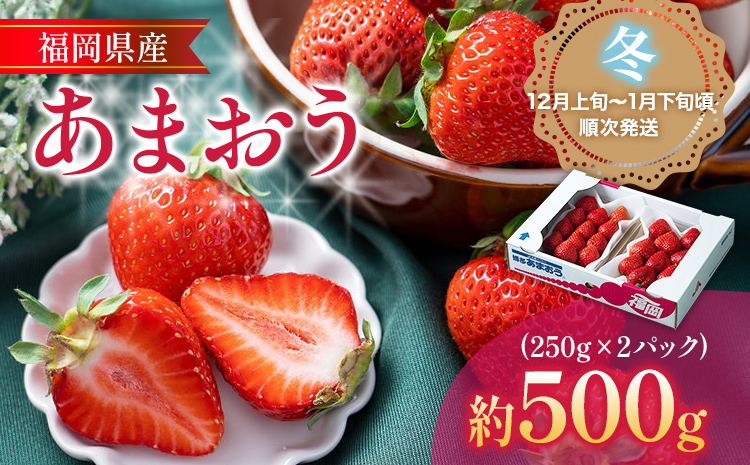 あまおう 福岡産【冬】あまおう 2パック 合計500g （1パックあたり250g） いちご 苺 果物 フルーツ 九州産 福岡県産 冷蔵 送料無料【12月上旬発送開始予定】