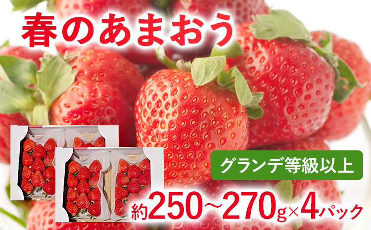 【2027年先行予約】春のあまおう(G規格以上約250‐270g x 4パック) お取り寄せグルメ お取り寄せ 福岡 お土産 九州 福岡土産 取り寄せ グルメ 福岡県