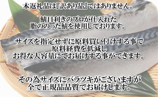 B334.バラ凍結で便利！塩さば（約5kg）