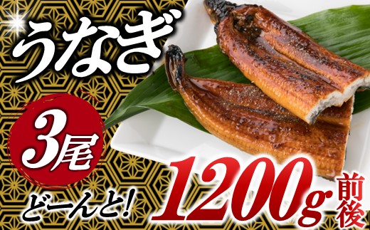 AB431.うなぎの蒲焼３尾（計１，２００ｇ前後）『１～２ヶ月前後でお届け！！』