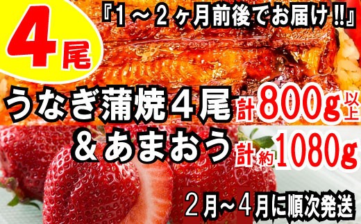 BD018.うなぎの蒲焼４尾＆いちごの王様あまおう１０８０g【新宮町ミラクルセット】【北海道・沖縄・離島へ配送不可】【あまおう】