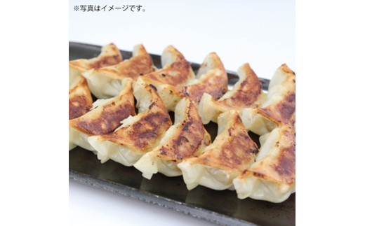 H062.【全10回定期便】博多一風堂ひとくち餃子（5セット）