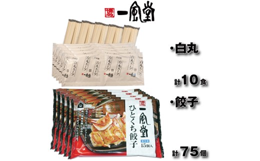 AE305.縲蝉ク鬚ィ蝣ゅ醍區荳ク繝ゥ繝シ鮗ヲ鮗コ10鬟溘→縺イ縺ィ縺上■鬢蟄5陲九そ繝繝医占ア夐ェィ繝ゥ繝シ繝。繝ウ縲
