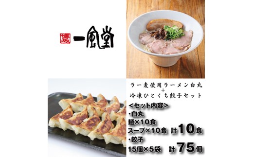 AE305.【一風堂】白丸ラー麦麺10食とひとくち餃子5袋セット【豚骨ラーメン】