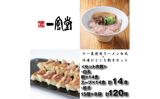 B449.【一風堂】白丸ラー麦麺14食とひとくち餃子8袋セット【豚骨ラーメン】