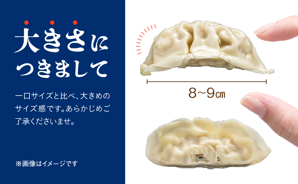 ZI160.福岡・博多の味・八洋食品×久原醤油『旨味溢れる餃子』４０個入（１０個入×４Ｐ）